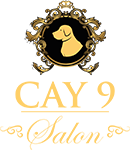 Cay 9 Salon